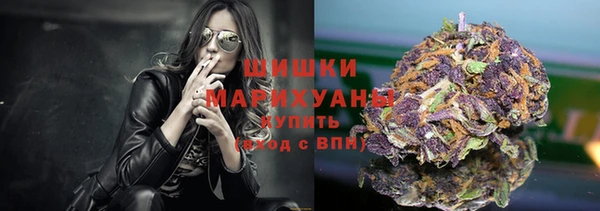 молекула духа Богданович