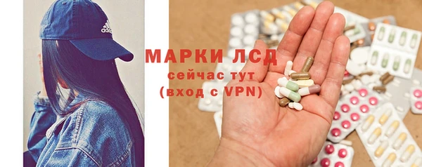 молекула духа Богданович