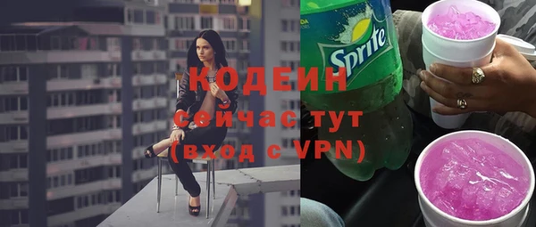 молекула духа Богданович