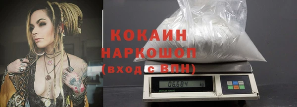 индика Беломорск