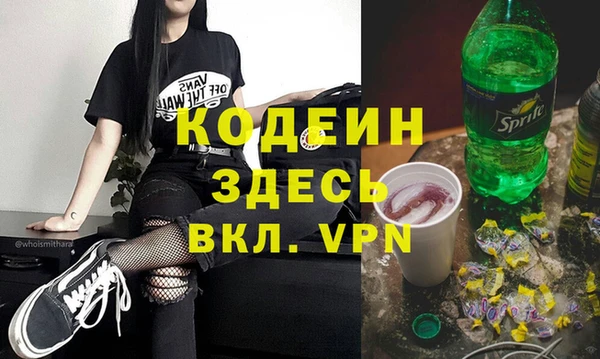 молекула духа Богданович
