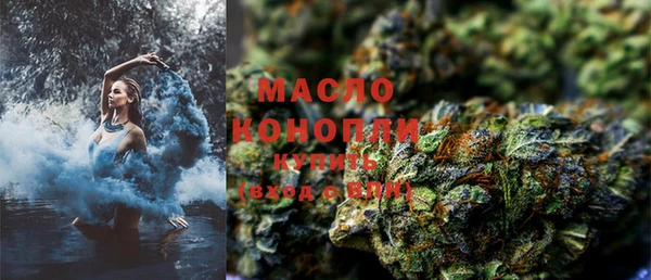 индика Беломорск
