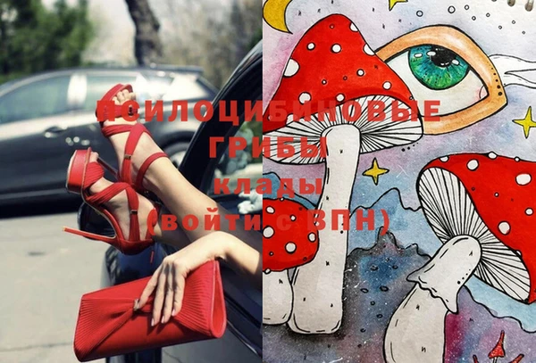 молекула духа Богданович