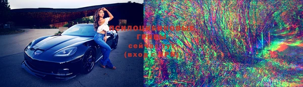 молекула духа Богданович