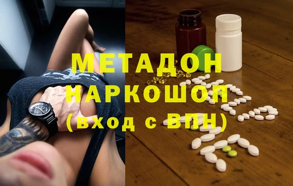 молекула духа Богданович