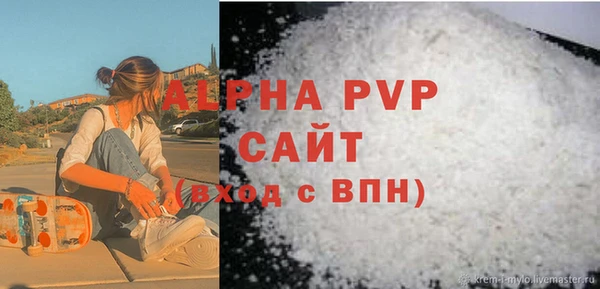 индика Беломорск